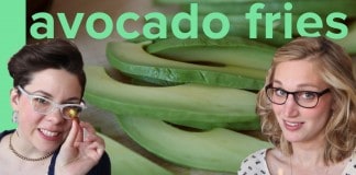 Did We LOVE The Spicy Avocado Fries from Snap? Did We Love The Spicy Avocado Fries From Snap?