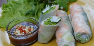 Tasting Vietnamese Spring Rolls In Asheville Tasting Vietnamese Spring Rolls In Asheville