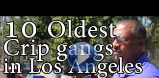 Street Vendors News: Street Gang Busted For Extorting Vendors Street Vendors News: Street Gang Busted For Extorting Vendors