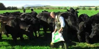 What You Should Know about the Benefits of Grass-Fed, Free-Range Meat What You Should Know About The Benefits Of Grass-Fed, Free-Range Meat