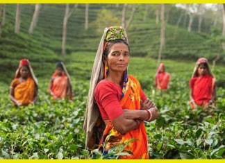 FRIDAY’S RECIPE: GRILLED CHICKEN TIKKA SKEWERS