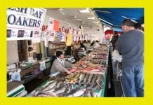 SPIDERS & SNAKES & LIZARDS, OH MY! Street Eats: Shrimp Roll & New England Clam Chowder From Luke's Lobster