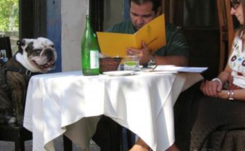 Will Dogs in NYC Get Their Own Street Food? Will Dogs In Nyc Get Their Own Street Food?