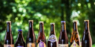 Best Beers to pair with your food – Before you bite in best beers