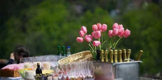 What to Look for in a Wedding Caterer wedding Caterer