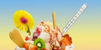Is Frozen Yogurt a Healthy Street-Food Choice? frozen yogurt