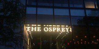 The Osprey Review: This Was What Duck is Supposed to Taste Like The Osprey Brooklyn nyc