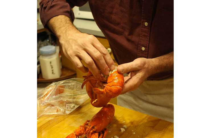 Easy Lobster Recipes