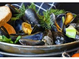 Mussels Recipe