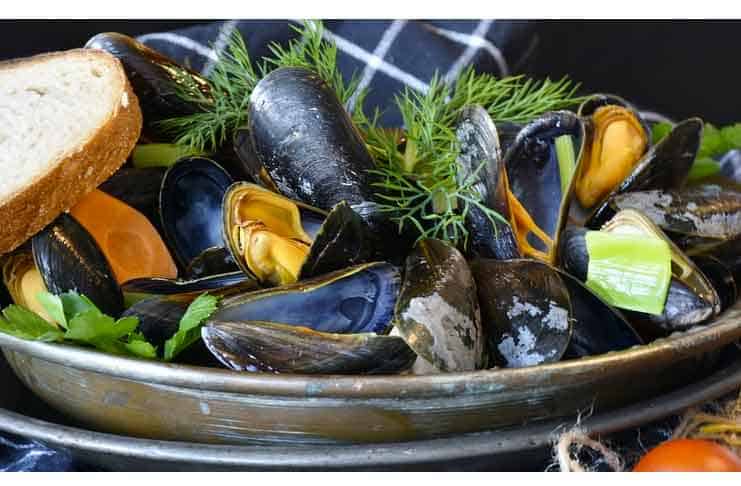 Mussels Recipe