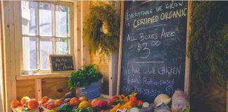 Is Organic Food Really Good For You? Is Organic Food Good For You