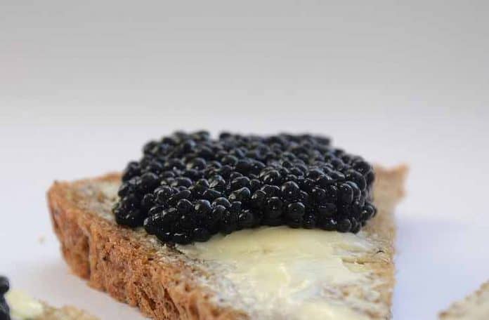 caviar guide