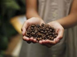 Best Coffee Beans for Espresso