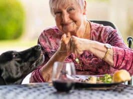 Best Foods for Seniors