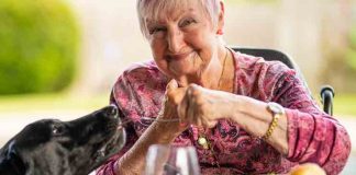 A Short Guide on The Best Foods for Seniors Best Foods for Seniors