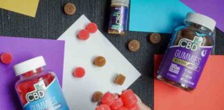 Why CBD Gummies Can Change Your Daily Routine CBD Gummies Can Change Your Daily Routine