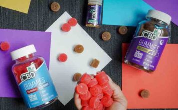 Why CBD Gummies Can Change Your Daily Routine CBD Gummies Can Change Your Daily Routine