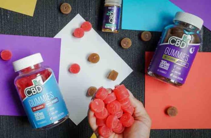 CBD Gummies Can Change Your Daily Routine