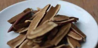 How I Take My Reishi Mushroom Powder Without Making Capsules Reishi Mushroom powder