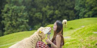 What Is Ethical Sourcing and Why Is It Important? What Is Ethical Sourcing and Why Is It Important