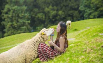 What Is Ethical Sourcing and Why Is It Important? What Is Ethical Sourcing and Why Is It Important