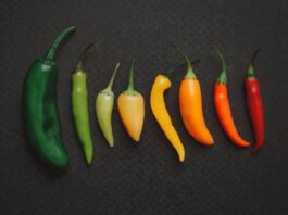 food pepper types