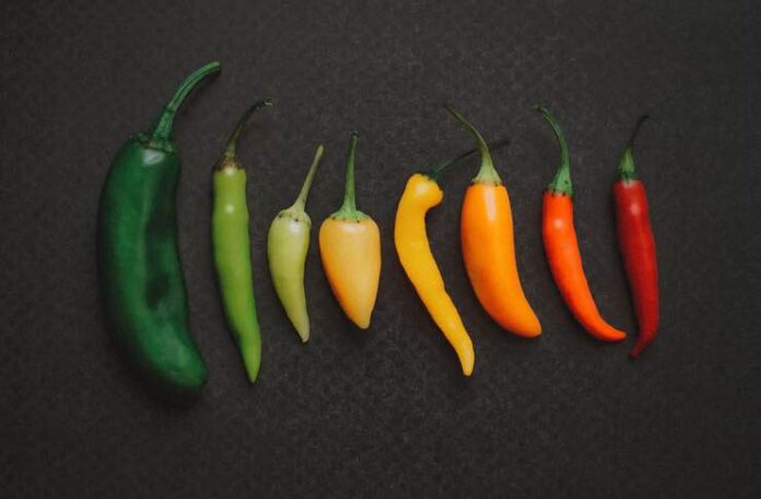 food pepper types