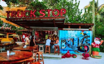 5 Reasons Eco-Experts like Vikki Nicolai La Crosse Believe Food Trucks Are Eco-Friendly Eco-Friendly Food Trucks