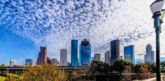 6 Foods You Must Try if You Live in Houston, TX Foods You Must Try if You Live in Houston tx
