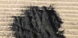 What is Charcoal Powder? And How Can You Use It In Your Food What is Charcoal Powder