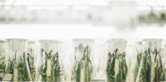 Top 4 Food Technology Trends & Innovations in 2022 Food Technology Trends