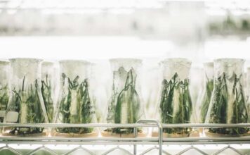 Top 4 Food Technology Trends & Innovations in 2022 Food Technology Trends