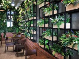 Ways Plants Enhance Restaurant Design