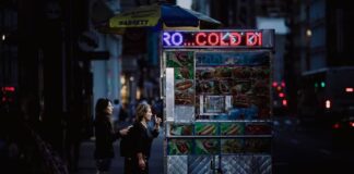 How NYC Street Food Vendors Can Prevent Rodent Problems How NYC Street Food Vendors Can Prevent Rodent Problems
