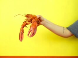 How to Cook Lobster in the Winter