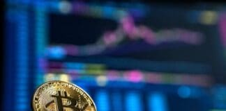 The Impact of Cryptocurrency on Food Businesses: A Paradigm Shift in the Industry The Impact of Cryptocurrency on Food Businesses