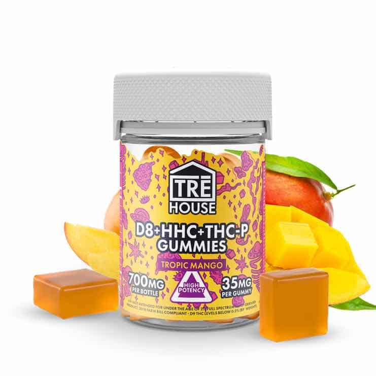 How Can You Add Thc Gummies To Your Dinner? A Few Tips And Ideas How Can You Add THC Gummies To Your Dinner
