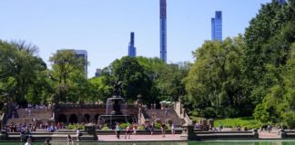 6 Things to Do on The Upper West Side of NYC Things to Do on The Upper West Side of NYC
