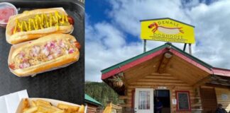 We Visited Denali Doghouse, in Alaska: A Hot Place For a Hot Dog hot dog in Denali in Alaska