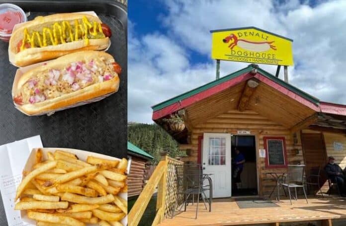 hot dog in Denali in Alaska hot dog in Denali in Alaska