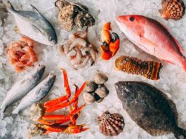 Tips for Using Frozen Seafood