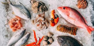 Crafting the Perfect Seafood Dish: Tips for Using Frozen Seafood Tips for Using Frozen Seafood