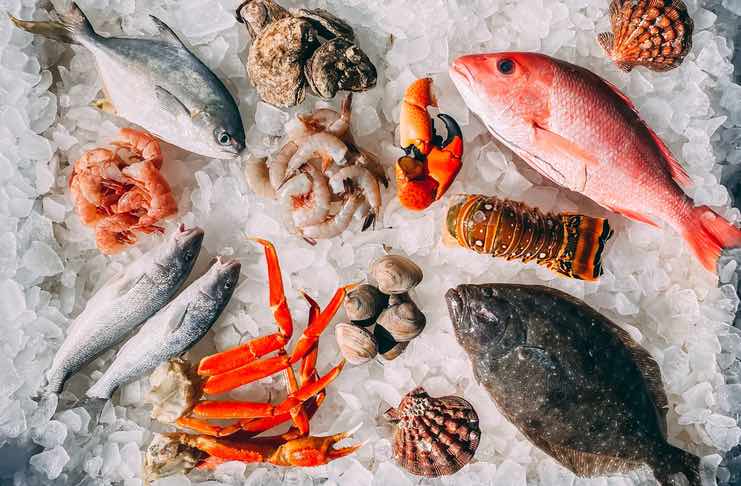 Tips for Using Frozen Seafood