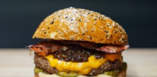 The Missing Link? Fermented Foods and Burgers Unite! Fermented Foods and Burgers
