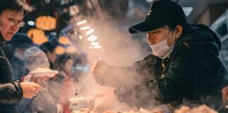 Navigating Food Safety: A Street Food Lover’s Guide Navigating Food Safety