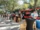 The Ultimate Foodie Road Trip: 10 Best Street Food Cities in the US food truck promotions in new york