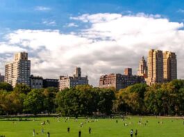 Central Park Plant-based night market