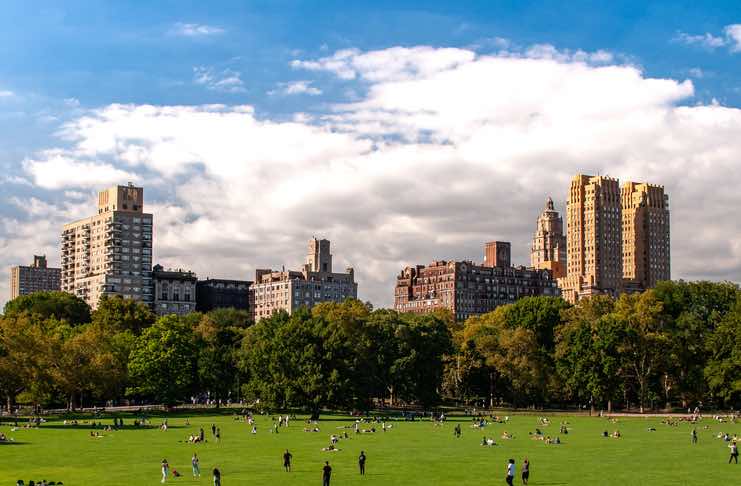 Central Park Plant-based night market