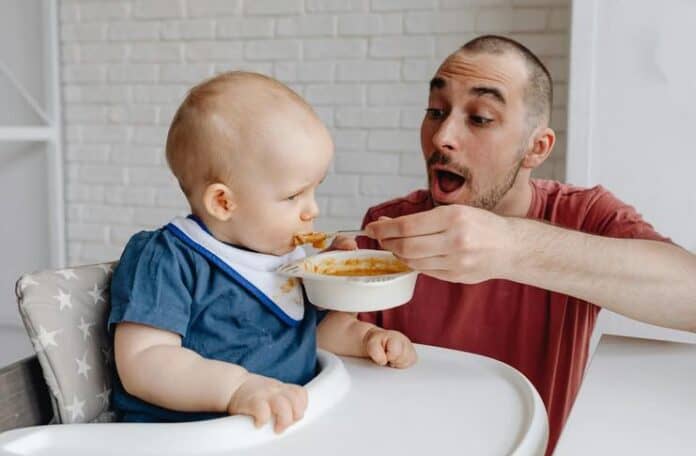 Homemade Meals Versus Formula