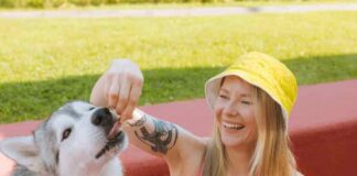 Dog-Friendly Treats and the Significance of Dog Probiotics in A Healthy Diet Dog-Friendly Treats